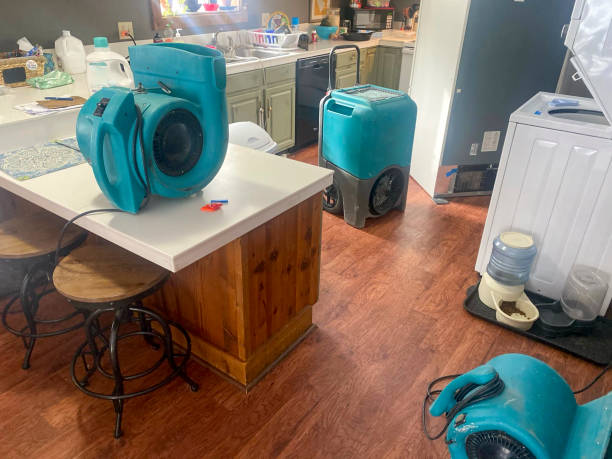 Best 24-hour water damage restoration  in Mentone, IN