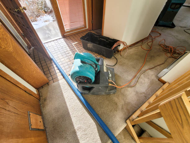 Best Ceiling water damage repair  in Mentone, IN