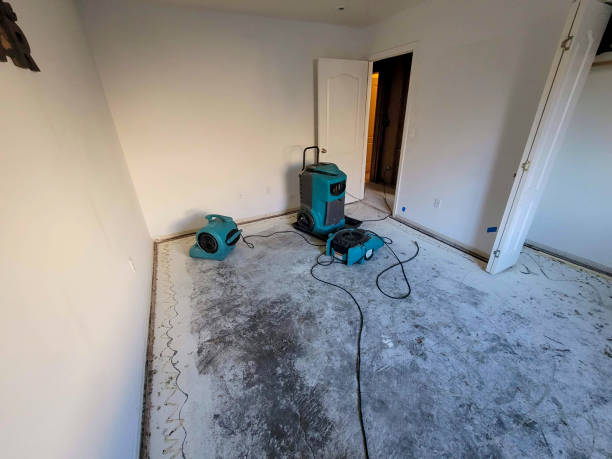 Best Basement water damage restoration  in Mentone, IN