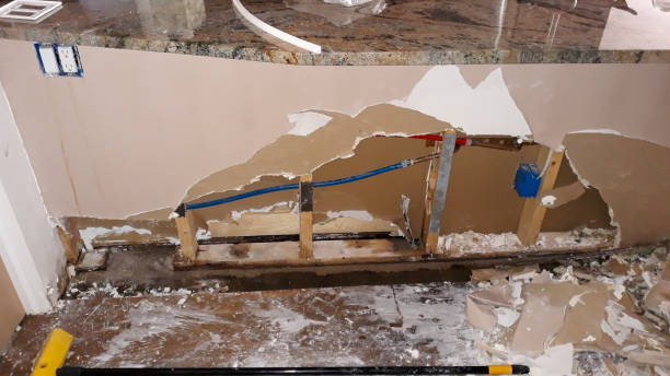 Best Mold removal after water damage  in Mentone, IN