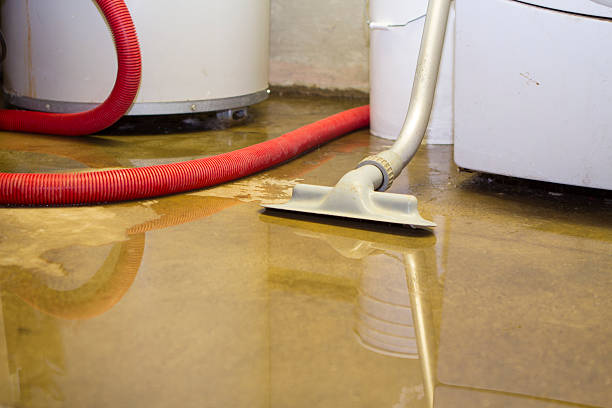 Best Water damage restoration process  in Mentone, IN