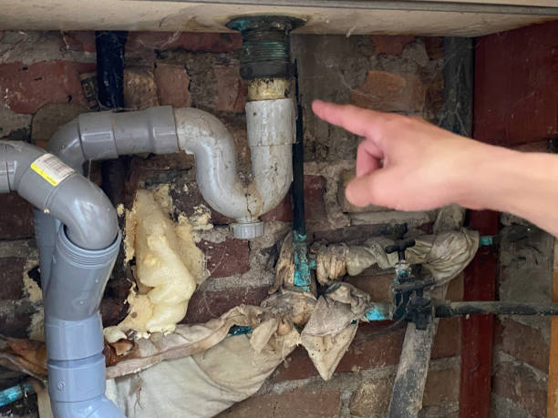 Best Flood damage cleanup  in Mentone, IN
