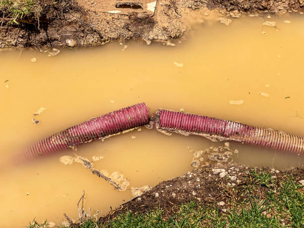 Best Water damage cleanup near me  in Mentone, IN