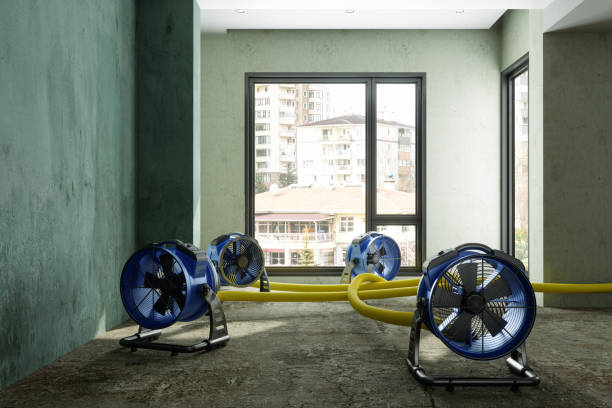 Water damage restoration insurance claims in IN